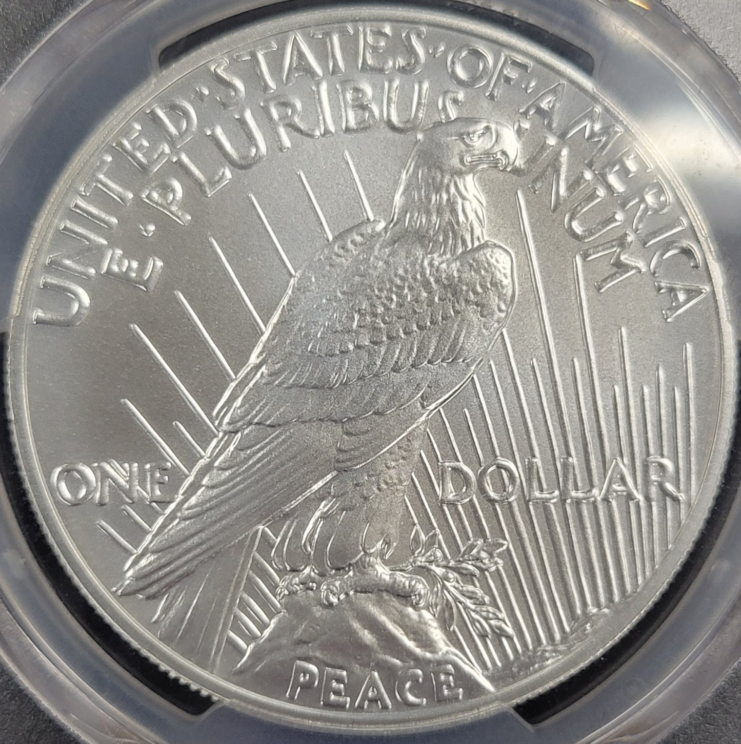 2021 Peace Dollar 100th Anniversary PCGS certified MS69