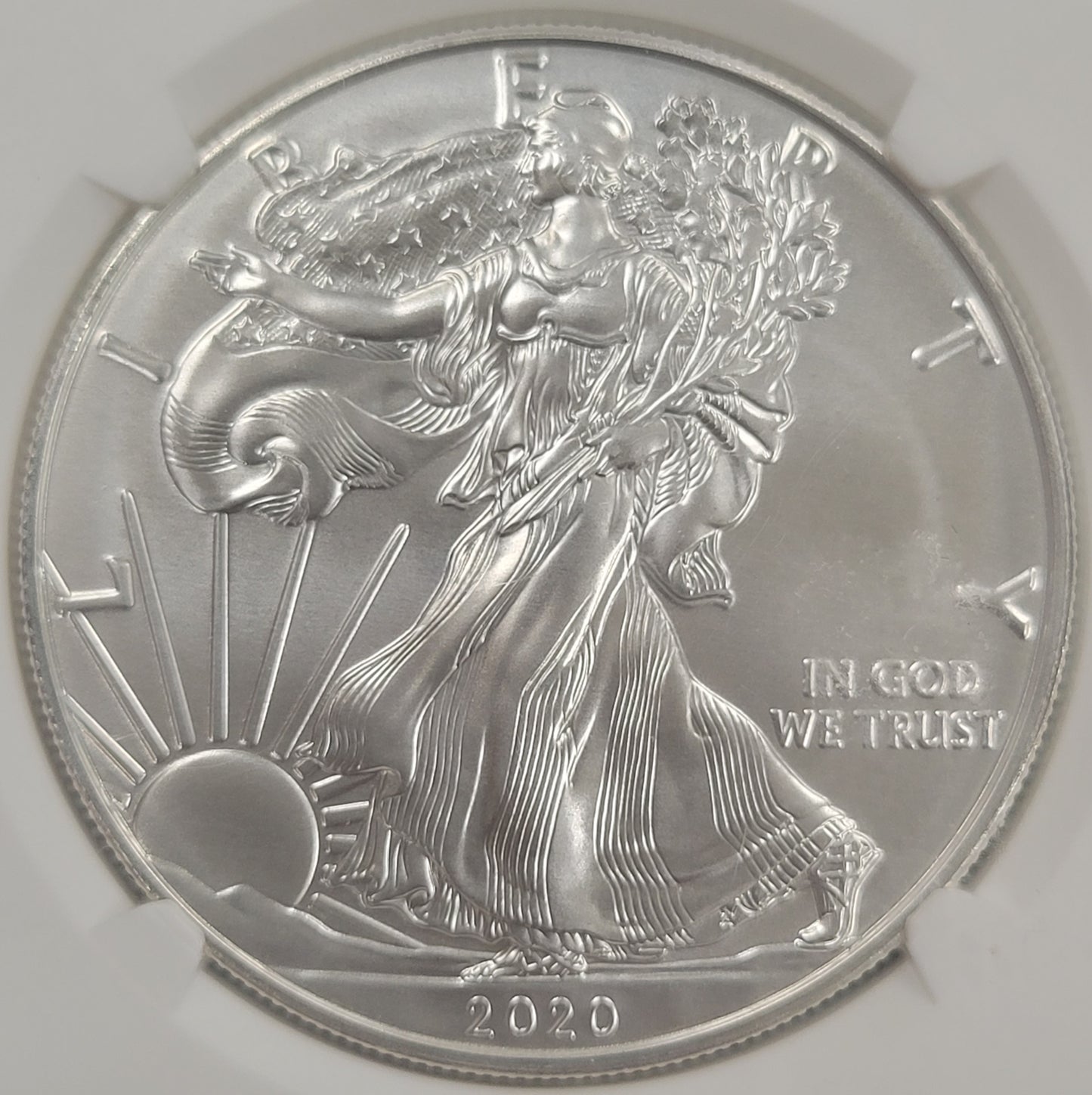 2020 American Eagle Standing Liberty $1 NGC certified MS70.