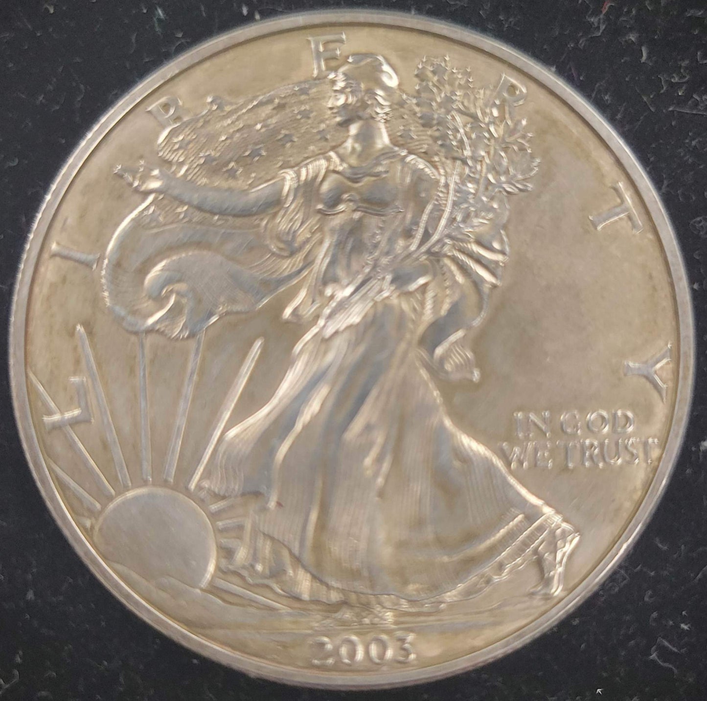 2003 American Silver Eagle Standing Liberty with display case $1