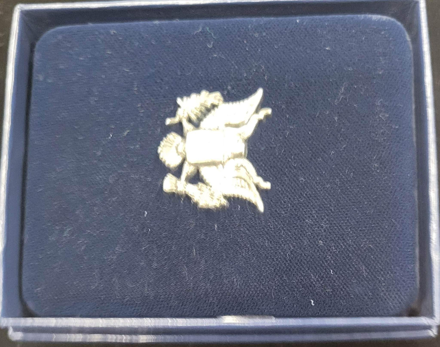 1996-P American Eagle One Ounce Proof Standing Liberty Coin