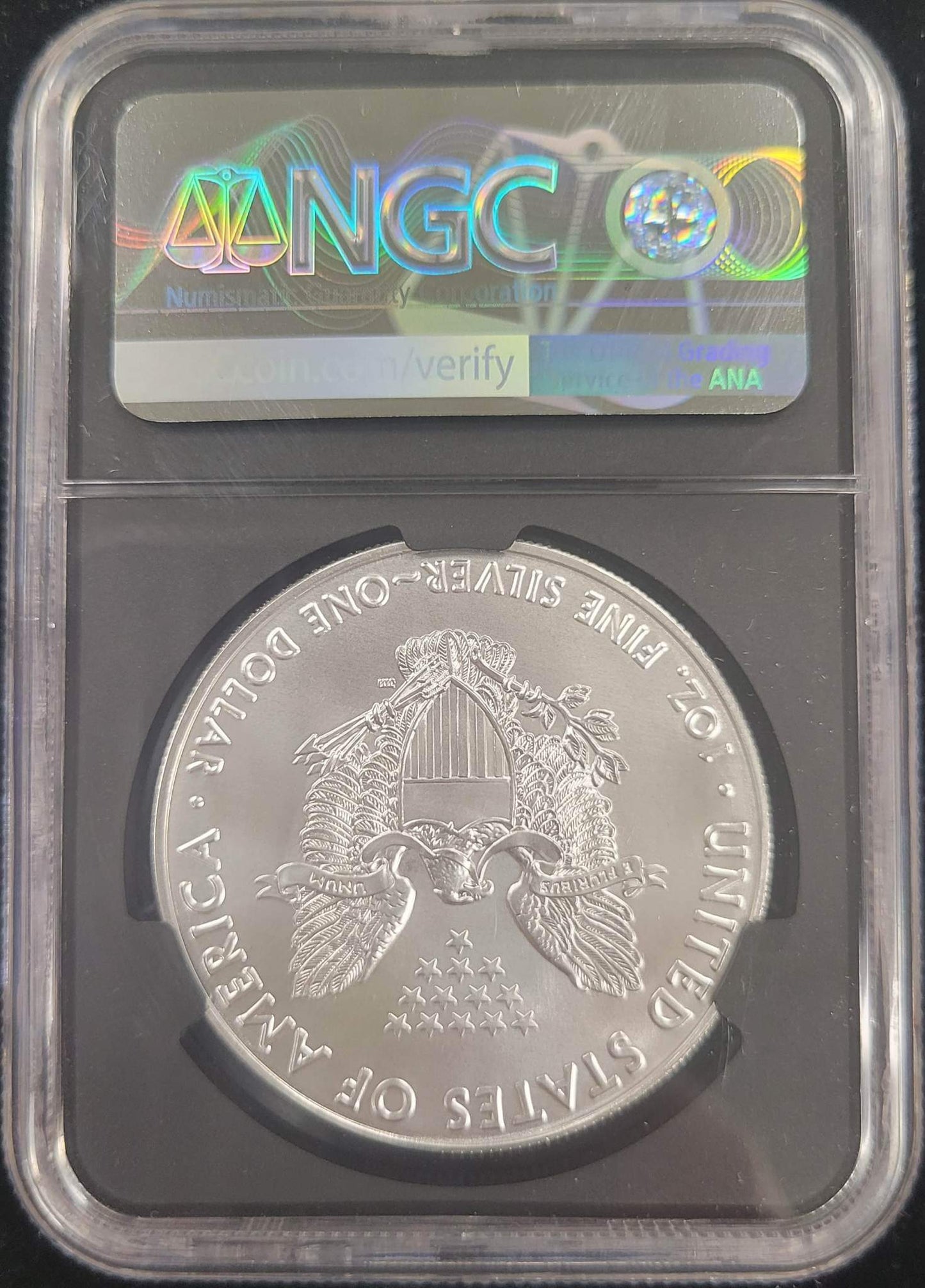 2018 Silver Eagle Standing Liberty NGC MS70 $1