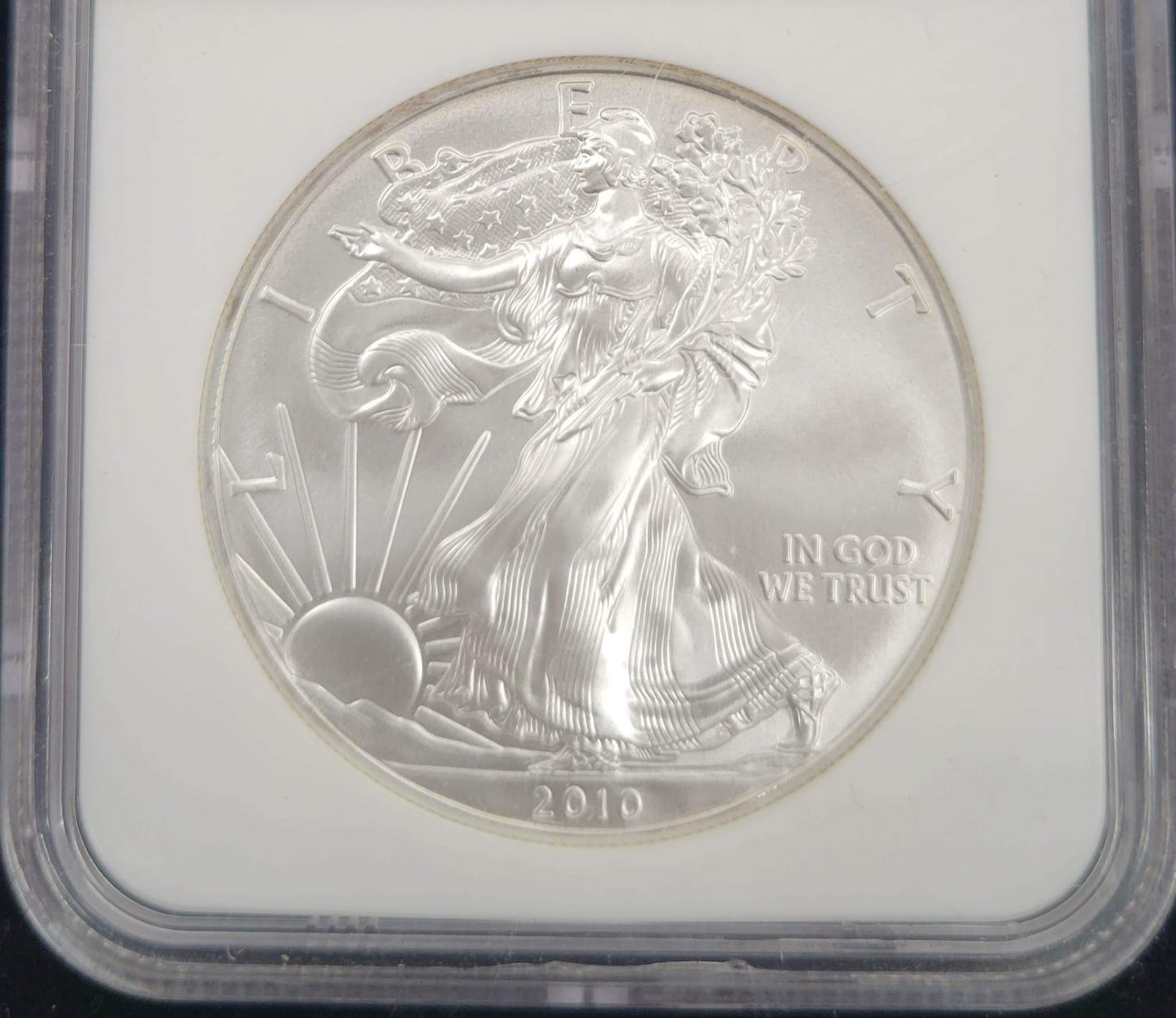 2010 Standing Liberty Silver Eagle NGC MS70 $1