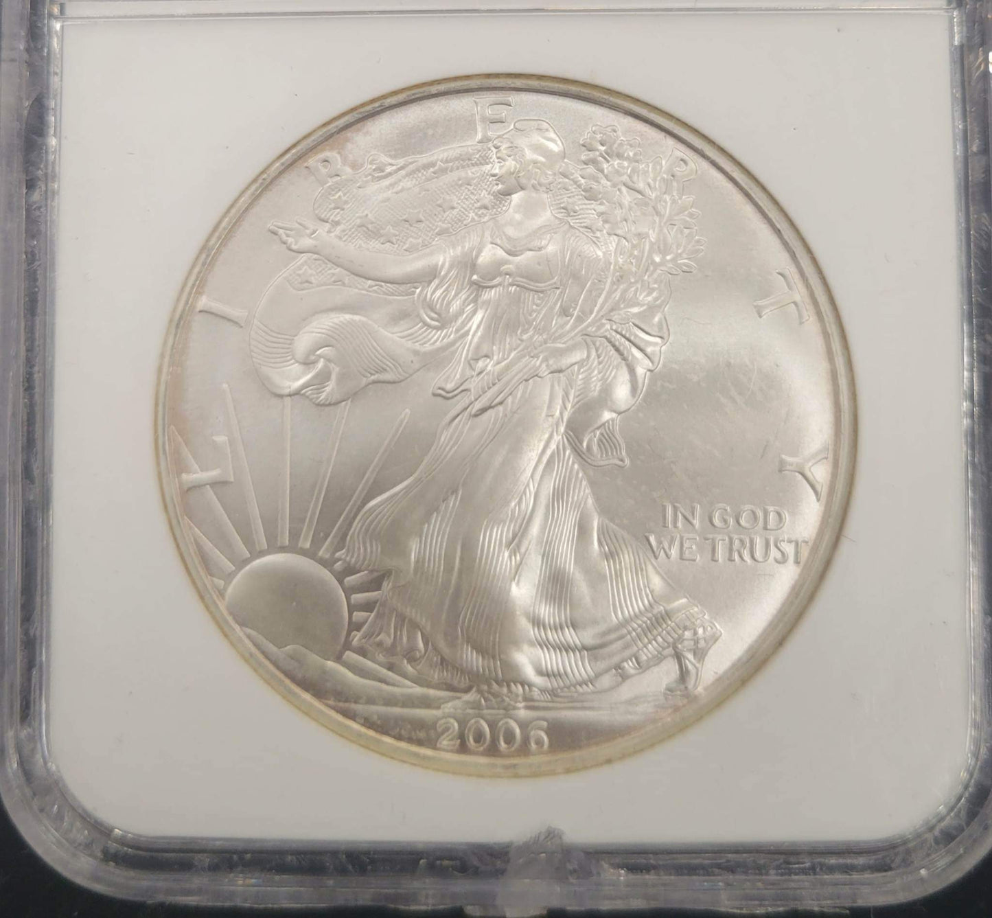 2006 Silver Eagle Standing Liberty NGC Gem Uncirculated $1