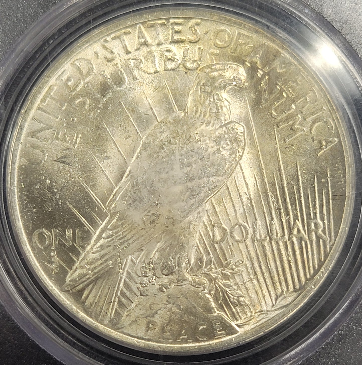 1922 Peace Dollar $1 PCGS certified MS62