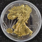 2015 American Silver Eagle Dollar 1 oz Fine Silver clad Black Ruthenium 24kt Gold
