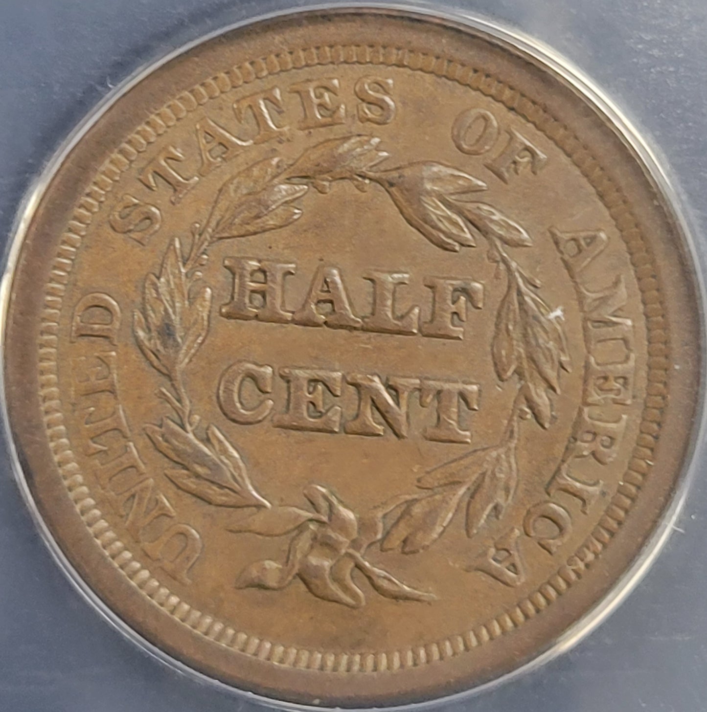 1849 Braided Hair 1/2c Large Date ANACS certified MS60 BRN
