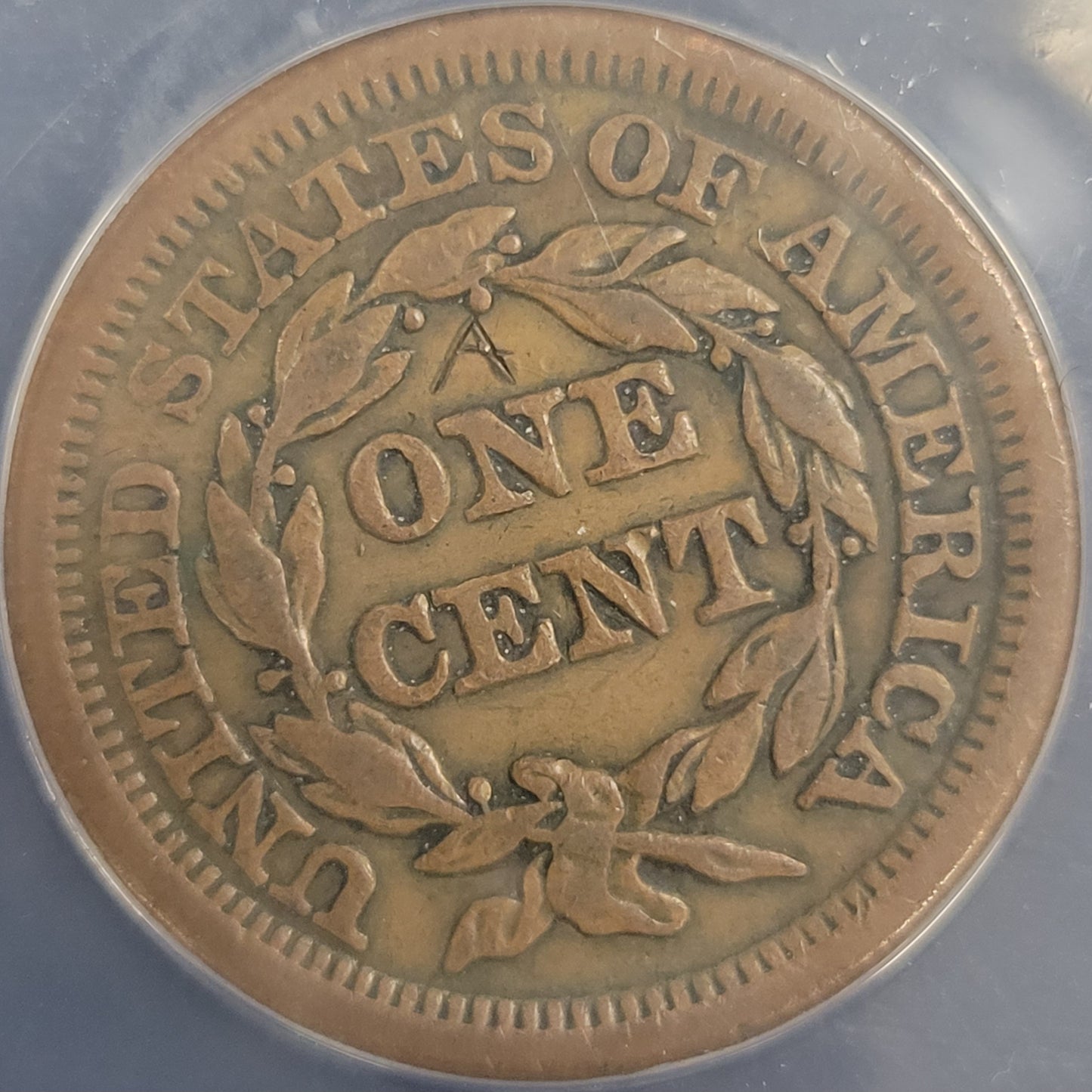 1854 Braided Hair Large Cent Graffiti 1c ANACS certified EF40 Details