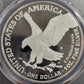 2021-S American Silver Eagle Type 2 $1 PCGS certified PR69DCAM