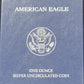 2011-W American Eagle 1 oz Silver Uncirculated Coin