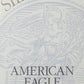 1995-P Silver American Eagle One Dollar Coin