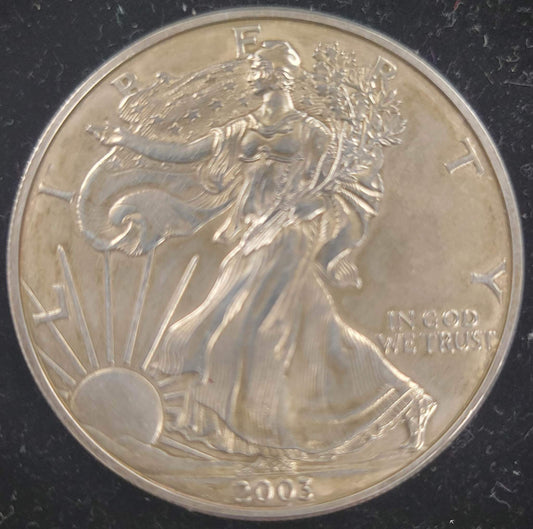 2003 American Silver Eagle Standing Liberty with display case $1