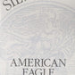 2003-W Silver American Eagle One Dollar Proof Coin
